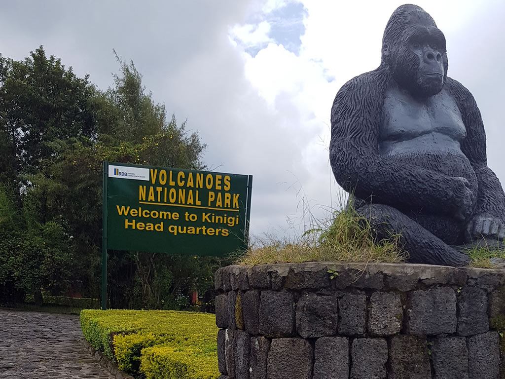 3 Days Rwanda Gorilla Trekking Safari plus Lake Kivu